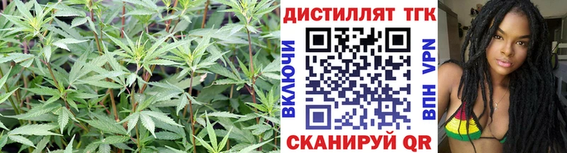 блэк спрут tor  Домодедово  Дистиллят ТГК вейп 